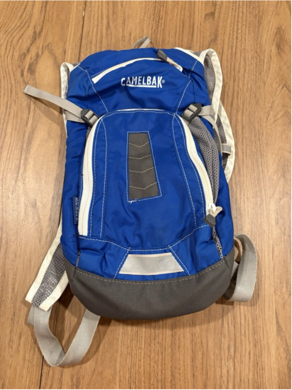 CamelBak Mini MULE Kids Hydration Backpack Blue 50oz 1.5L Pack No Bladder